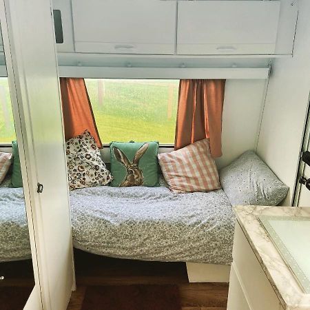 فندق Cosy Caravan At Carrigeen Glamping كيلكيني المظهر الخارجي الصورة