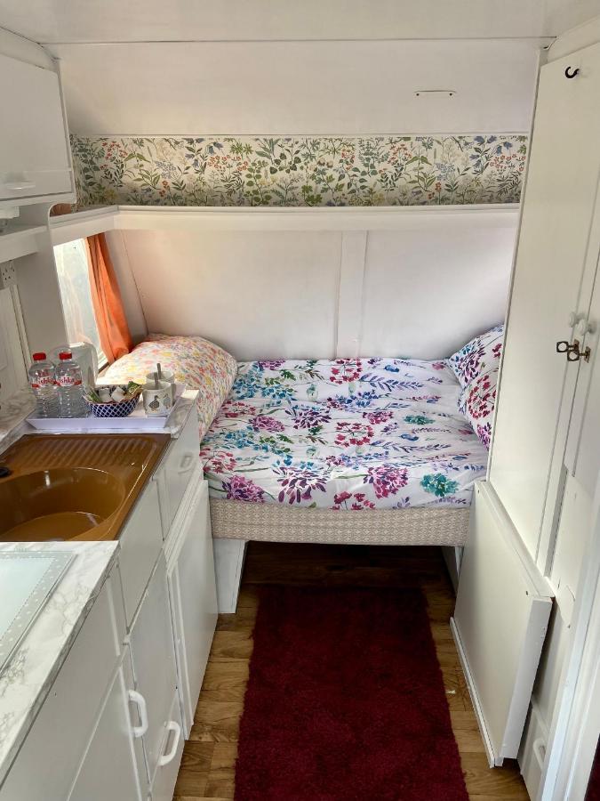 فندق Cosy Caravan At Carrigeen Glamping كيلكيني المظهر الخارجي الصورة