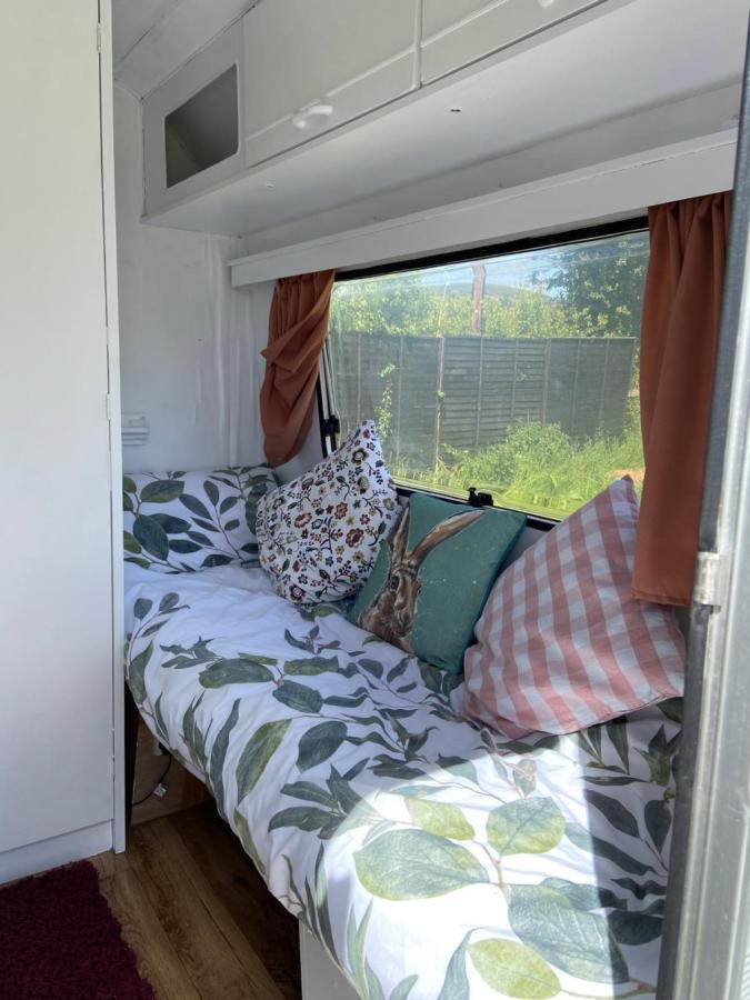 فندق Cosy Caravan At Carrigeen Glamping كيلكيني المظهر الخارجي الصورة