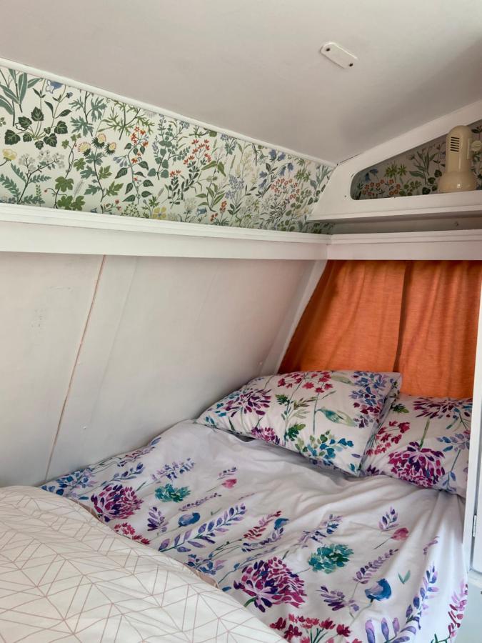 فندق Cosy Caravan At Carrigeen Glamping كيلكيني المظهر الخارجي الصورة